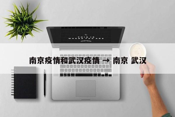 南京疫情和武汉疫情 → 南京 武汉