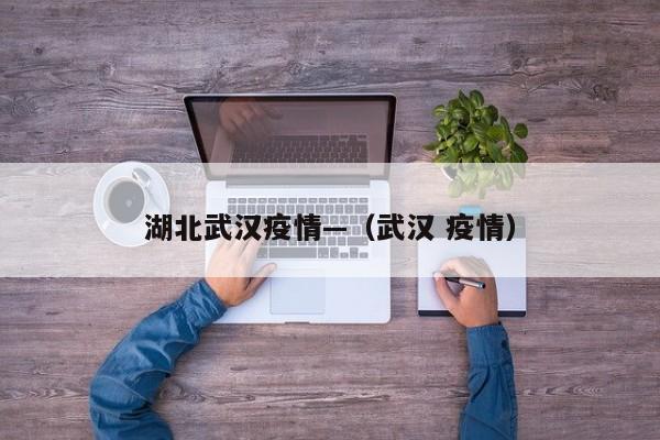 湖北武汉疫情—（武汉 疫情）