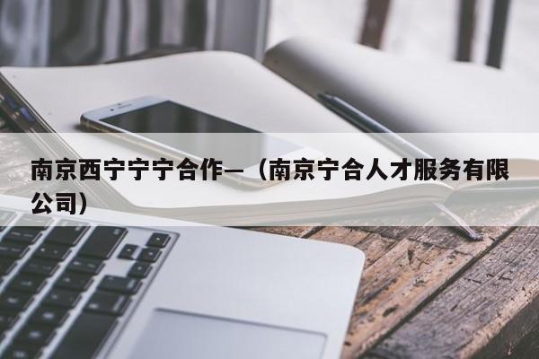 南京西宁宁宁合作—（南京宁合人才服务有限公司）
