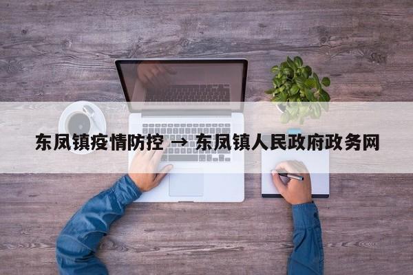 东凤镇疫情防控 → 东凤镇人民政府政务网