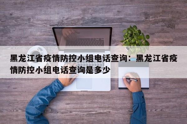 黑龙江省疫情防控小组电话查询：黑龙江省疫情防控小组电话查询是多少
